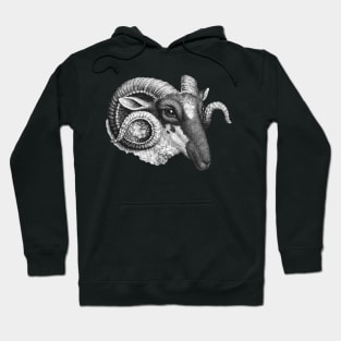 Profile of a Ram Hoodie